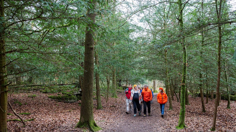Group of people in brightly coloured puffer jackets and raincoats walking through the woods at Arnside and Silverdale.